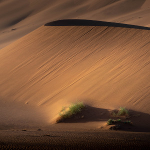 Namibia Photo Workshop Tour