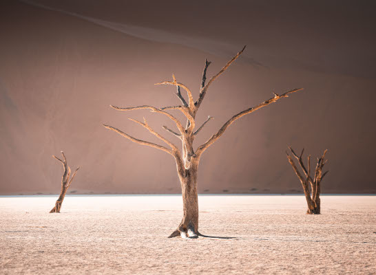 Desert of Namibia