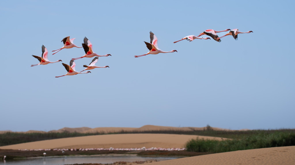 Walvis Bay in Namibia: Whale Bay