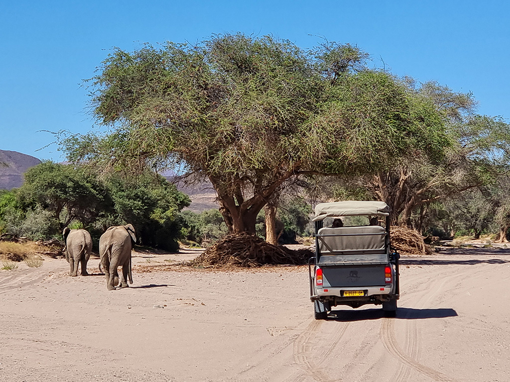 Safari in Namibia Windhoek-Livingstone