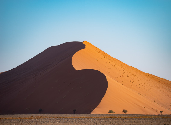 Namib Desert