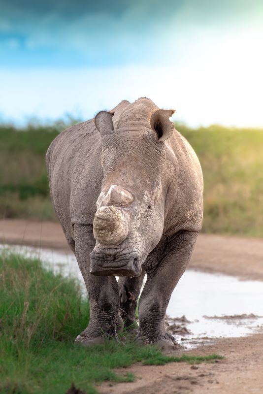 Safari in Namibia - Workshop Photos