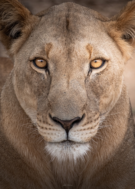 Safari in Namibia - Workshop Photos