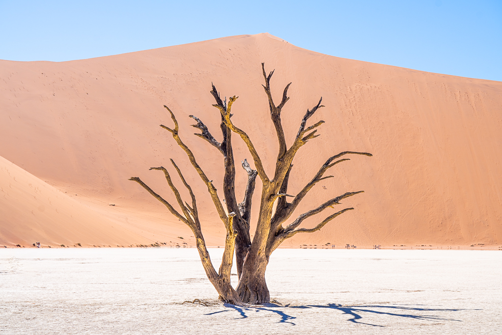 Self-drive Discovery Tour of Namibia – Sesriem