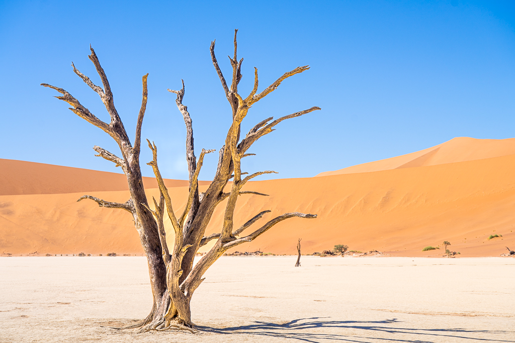 Self-Drive Tour: Desert, Tribes, Wildlife, Victoria Falls