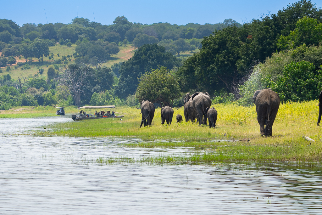 Self-Drive Tour: Desert, Tribes, Wildlife, Victoria Falls