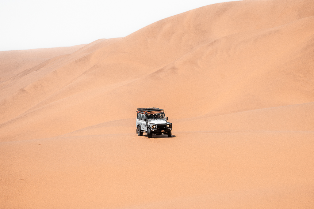 Self-Drive Tour: Lions, Deserts, Canyons