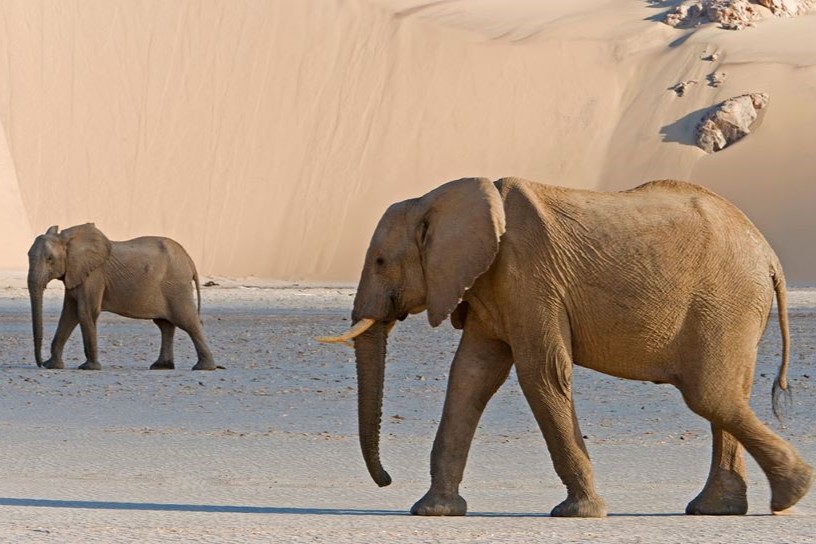 Self-Drive Tour Lodges Nature Tribes Great South 22 days and 21 nights with Matakwa Safari.