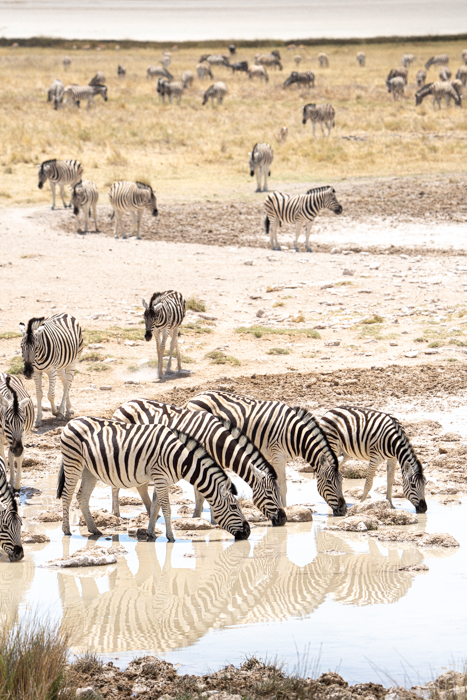 Namibia and Victoria Falls Self-Drive Tour