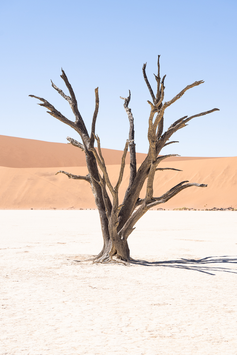 Namibia and Victoria Falls Self-Drive Tour