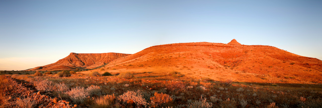 Quel budget pour un safari en Namibie ?