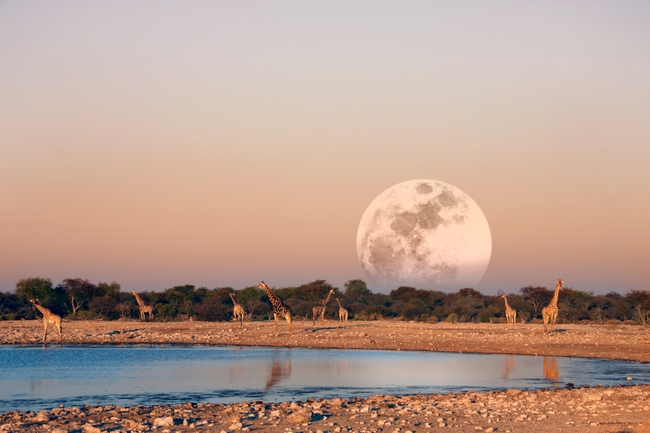 What is the best time to go on a safari in Namibia?