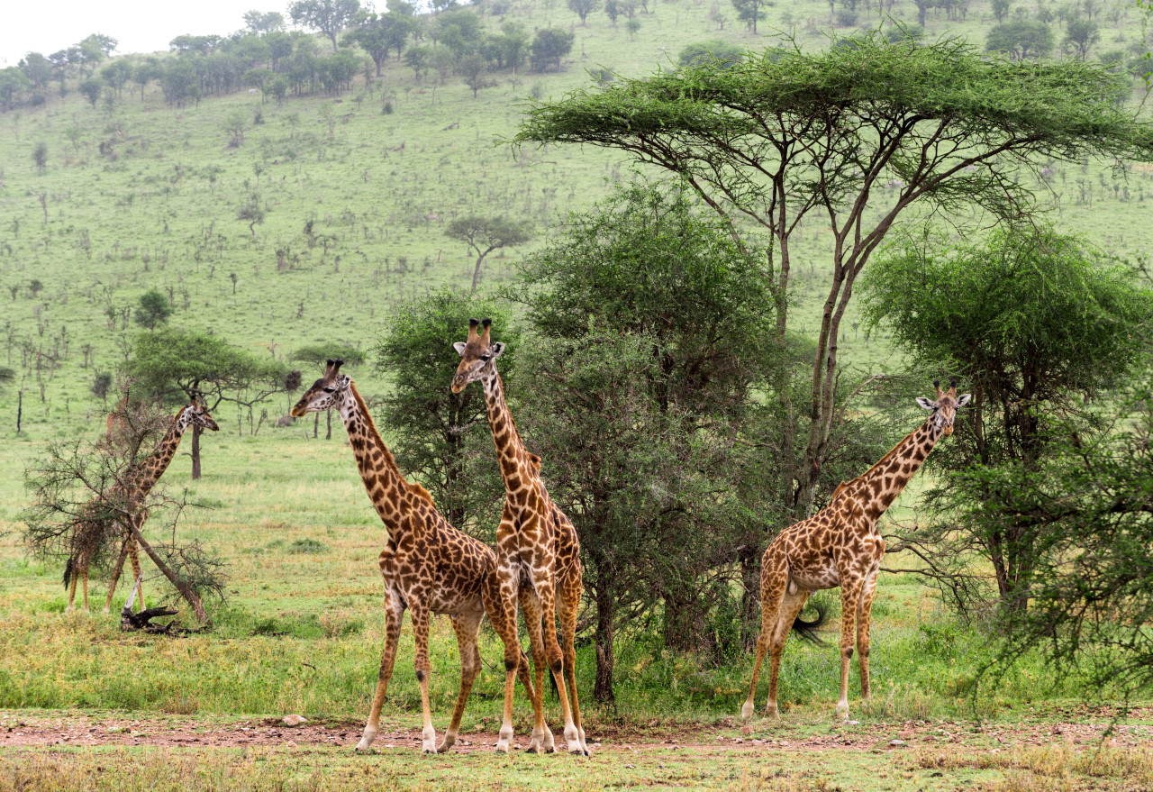 What is the best time to travel to Namibia ?