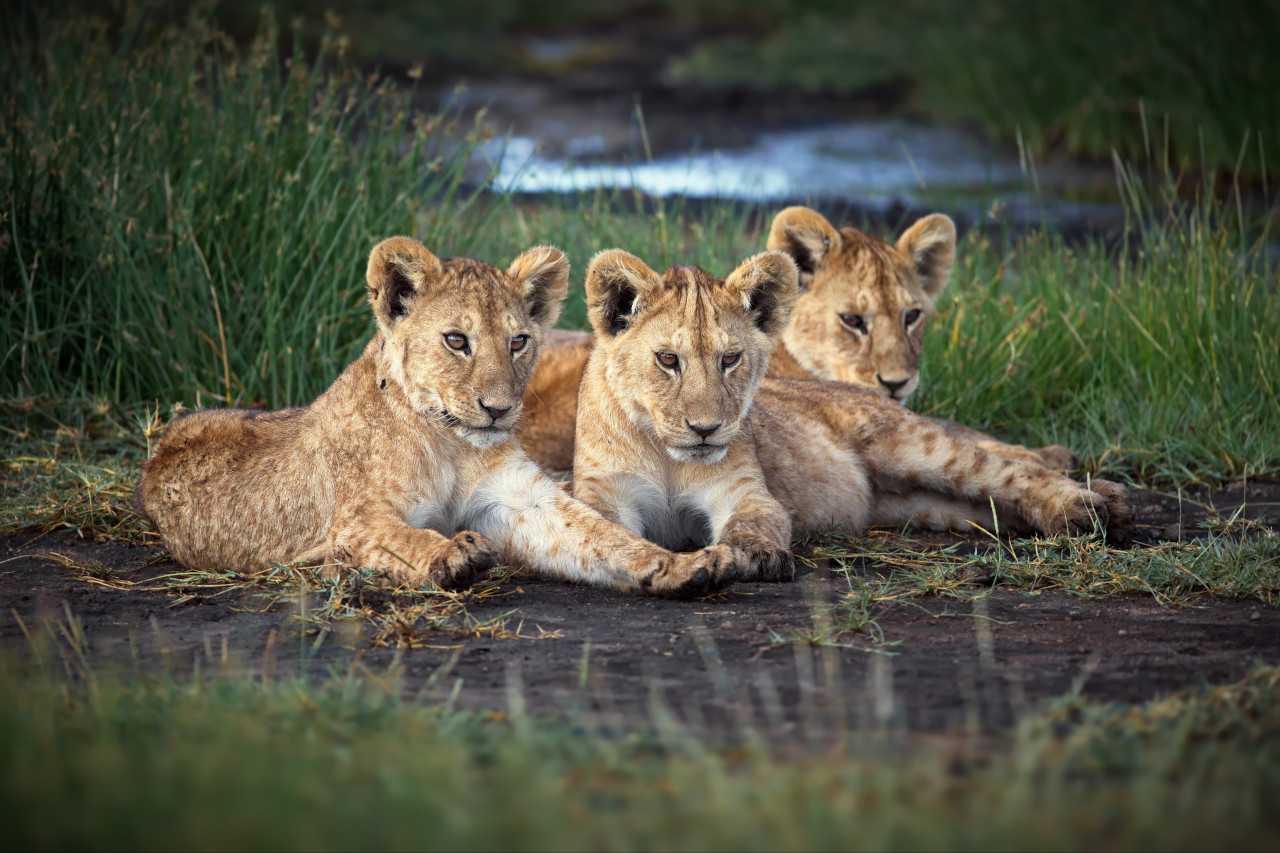 What is the best time to travel to Namibia ?