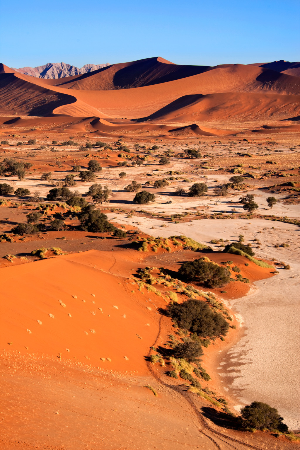 What is the best time to travel to Namibia ?