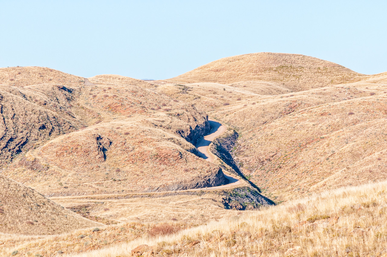 Self-drive safari in freedom